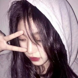 骇客雷克斯车赛